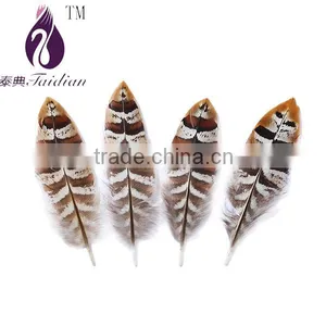 Natural Pheasant Feathers Plumage for Craft thumbnail-1