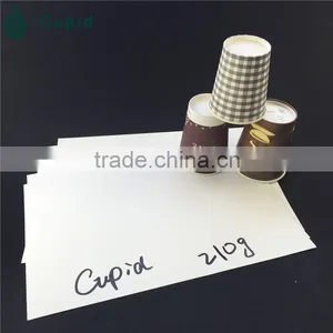 Hangzhou Tuoler pe Coated Paper Cup Blank thumbnail-4