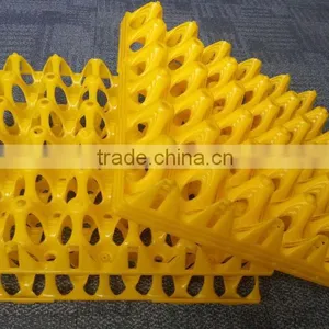 Clear Plastic Egg Tray for Transportation, Turning and Washing thumbnail-1