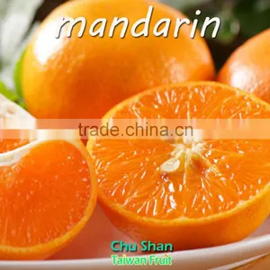 Mandarin Orange Citrus Fruit With Sweet Taste thumbnail-3