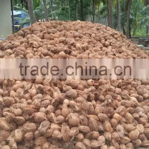 Husked and Semi Husked Coconut Exporter From India thumbnail-5
