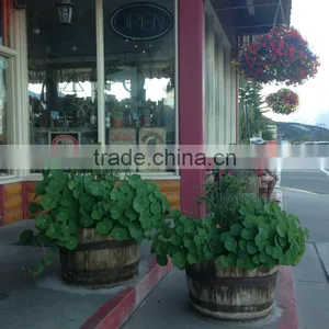 LEAFFY-Wooden Planter thumbnail-1