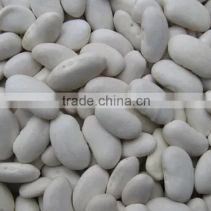 Chinese Large White Kidney Beans for Sale thumbnail-1