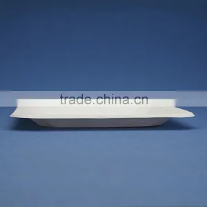 PL-08-S 8.25 Inches Different Shapes Disposable Flate Square Shape Sugarcane Dinner Plates thumbnail-2