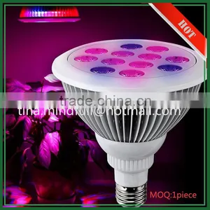 Wholesale High Quality OEM Spectrum 36W Outdoor Plant Light thumbnail-3