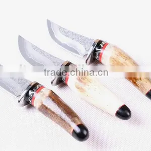 OEM Wild Antlers Deer Horn Damascus Small Collection Knife thumbnail-6