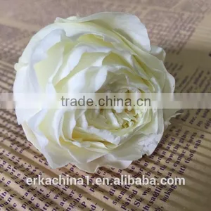 Wholesale Preserved Roses Preserved Flowers Dried Flowers Austin Rose thumbnail-3