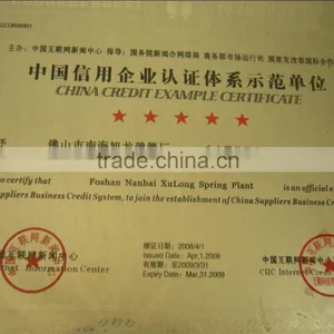 CHINA CREDIT Spring thumbnail-1
