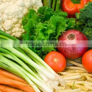 Fresh Vegetables Exporters thumbnail-4