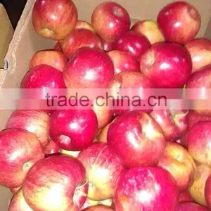 Fresh Apples thumbnail-5