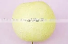 Huangguan Pear/ Crown Pear / Golden Pear thumbnail-1