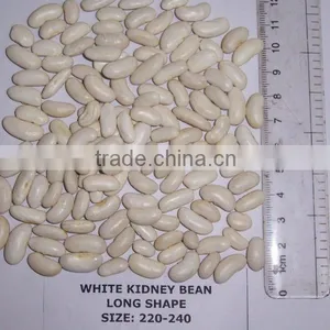 Dry White Kidney Bean thumbnail-2