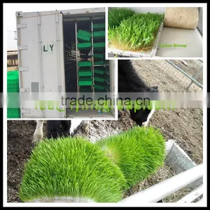 Made in China Barley Fodder Hydroponic Machine thumbnail-1