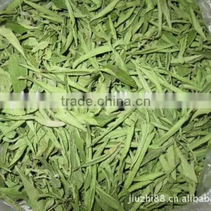 Stevia Extract 95% thumbnail-2