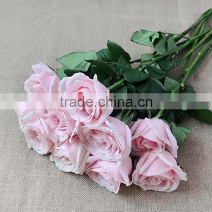 Wholesale Fresh Cut Rose Flowers for Wedding thumbnail-2