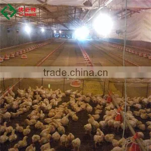 Whole Broiler Chicken Farm Poultry Equipment for Sale thumbnail-1