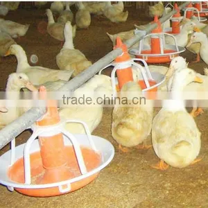 BC Automatic Pan Feeding System for Duck and Goose thumbnail-1