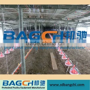 Ready Sale Chicken Sheds for Poultry Farm thumbnail-1