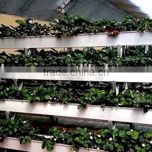 PVC Strawberry Gutter thumbnail-1