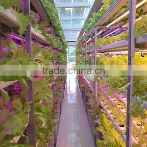 Best Seller 20w Led Grow Tube Growing Led Light Use in Amsterdam thumbnail-6