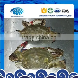 BQF Half-Cut Male Crabs thumbnail-1