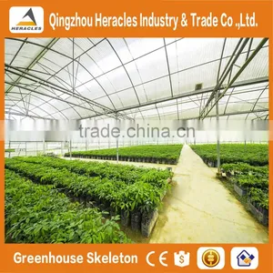 Heracles Trade Assurance Agricultural Tunnel Greenhouse thumbnail-2