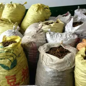 Supply Chinese Herbal Medicine Rhizoma Coptidis and Chicken Feet With Rhizoma Coptidis. thumbnail-4