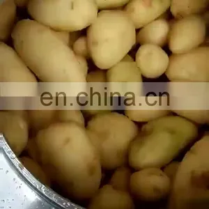 Vegetable Peeling Machine Onion/ Radish /garlic thumbnail-1