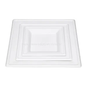6'' 8''10'' Square Sugarcane Bagasse Plates China Supplier Wholesale Biodegradable Compostable Microwave and Freezer Safe thumbnail-2