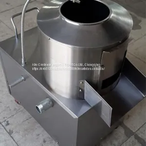 Hot Sale High Quality of Potato Washing And Peeling Machine thumbnail-3