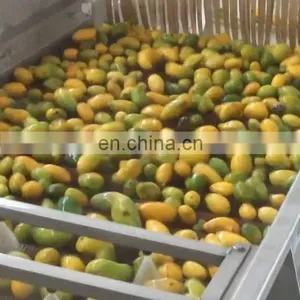 Mango Pulp Full Line Machine AutoOrange Mango Juice Liquid Washing and Filling Machine Line thumbnail-2