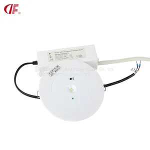 Ceiling Recessed Mounted LED Emergency Light Emergency 3W 3hours With CE SAA ROHS Certificate thumbnail-4