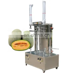 Factory Supplier Coconut Peeler Pineapple Fruit Skin Peeling Watermelon Processing Machine Good Price thumbnail-1
