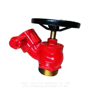 2-1/2 Oblique Landing Valve thumbnail-4