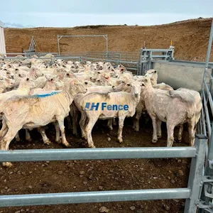 High Quality Australia Galvanized Welded Metal Steel Sheep and Goat Fence Corral Panels for Sale thumbnail-2