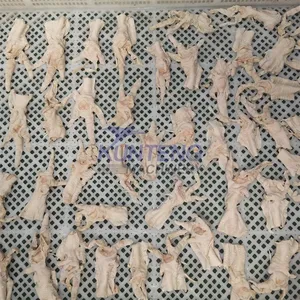 Food Dehydrator Meat Drying Machine Beef Jerky RABBITS Chicken Paw Fish Shellfish Dryer EPC thumbnail-2