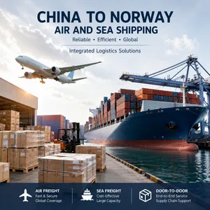 China to Norway Freight Forwarder With Customs Clearance Support thumbnail-3