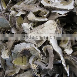 Top Quality of Dried Porcini Mushroom thumbnail-3