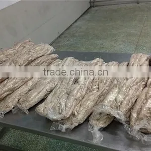 Frozen Precooked Vacuum Packing Bonito Lion and Auxis Thazard thumbnail-3