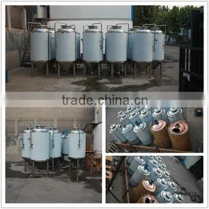 Craft Beer Equipments,mini Beer Brewing Equipment,hot Sale Beer Fermenters for Sale thumbnail-5