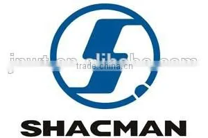 SHACMAN Truck Parts From Jinan Wentang thumbnail-3