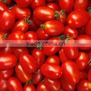 Multifunction Fruit Size Sorting and Grading Machine thumbnail-3