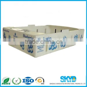 Fresh Blueberry Corrugated Plastic Shipping Container thumbnail-1
