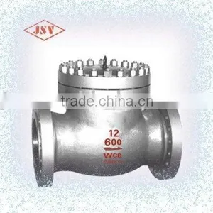 API Stainless Steel Swing Check Valves thumbnail-1