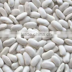 White Kidney Bean thumbnail-1