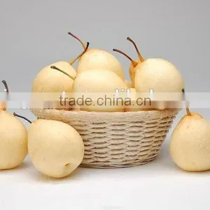Supply Fresh Ya Pear With Good Quality for Sale thumbnail-1