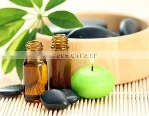 100% Pure Patchouli Oil For Exports | Patchouli Oil From India thumbnail-4