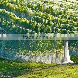 (20 Years Shanghai Factory) Hot Season , New Arrival, Agriculture HDPE Knotted Mesh Bird Control Net , 15 GSM / 20101-15 thumbnail-5
