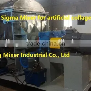 Sigma Type Kneading Machine/sigma 15/sigma Blade Kneader thumbnail-2