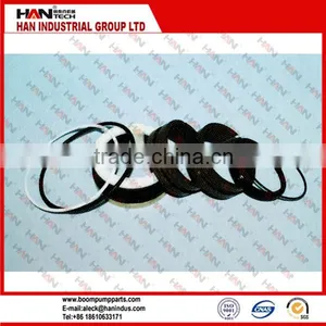 Putzmeister SLEWING SEAL KITS FOR CYLINDER for Outher Housing thumbnail-4